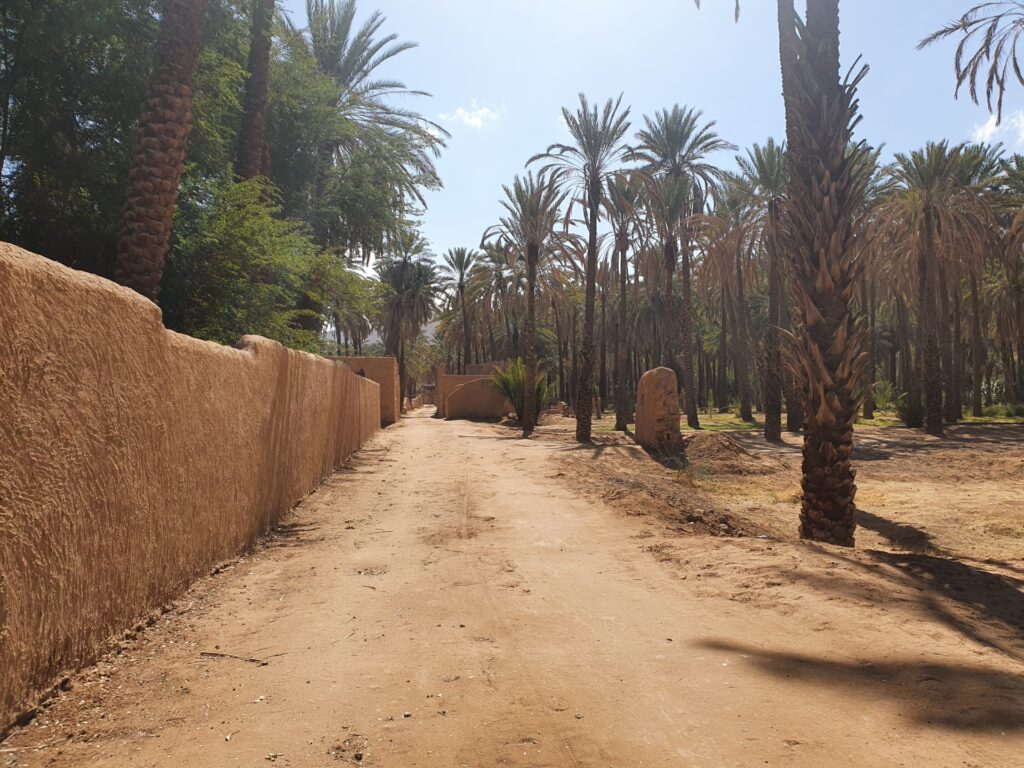 サウジアラビアの歴代国王を知りたい！第7代サルマーン陛下の驚きの資産額や話題になった来日・家族についても詳しく解説します｜ポイントデビューデジタル（POINT  DE VUE DIGITAL） │ 世界の王室・セレブの歴史、文化、ファッションメディア